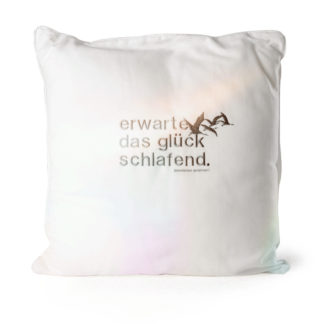 Pillow SLEEP, big, white/grey